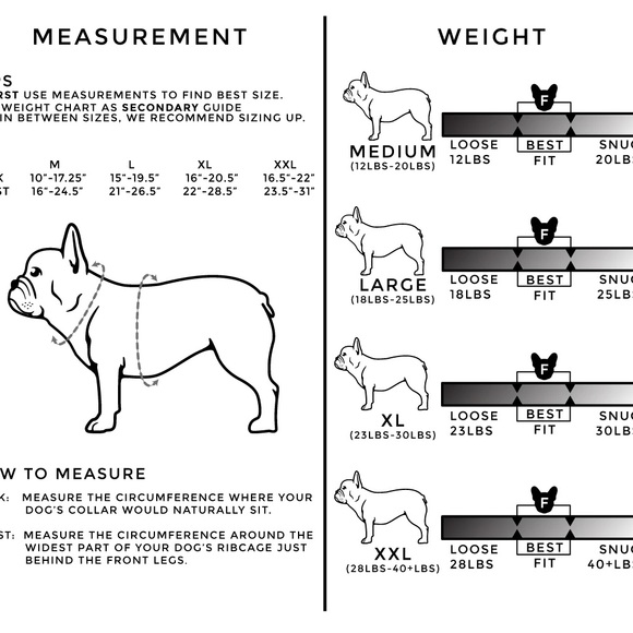 Frenchie Bulldog Harness - Picture 2 of 4